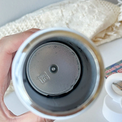 Insulated Water Bottle