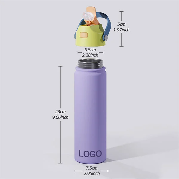 22oz Stainless Steel Space Bouncing Lid Flask
